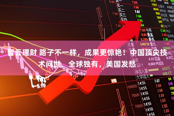 智云理财 路子不一样，成果更惊艳！中国顶尖技术问世，全球独有，美国发愁