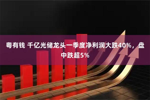 粤有钱 千亿光储龙头一季度净利润大跌40%，盘中跌超5%